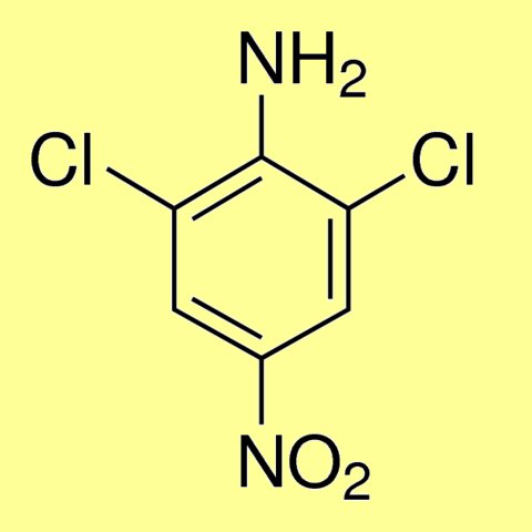 2,6-Dichloro-4-nitroaniline (Dichloran), min 95%
