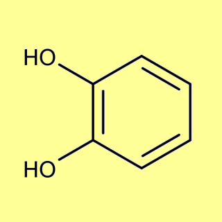 Catechol (1,2-Dihydroxybenzene / Pyrocatechol), min 99%