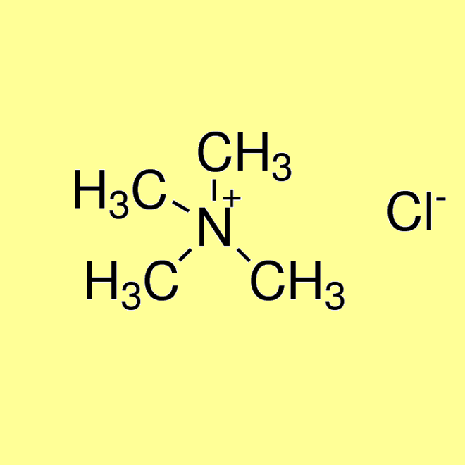 Tetramethylammonium chloride, 97%